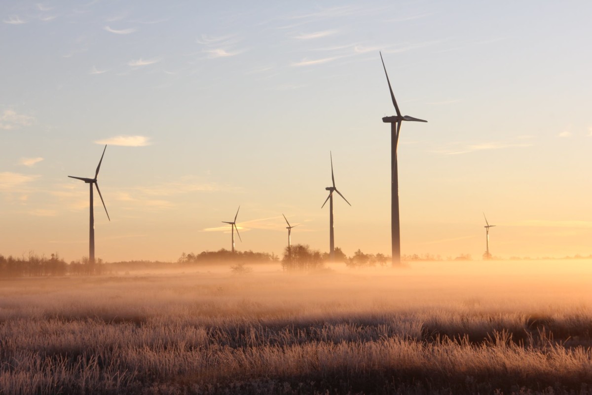 photo of windmills during dawn

Photo by Laura Penwell on Pexels.com